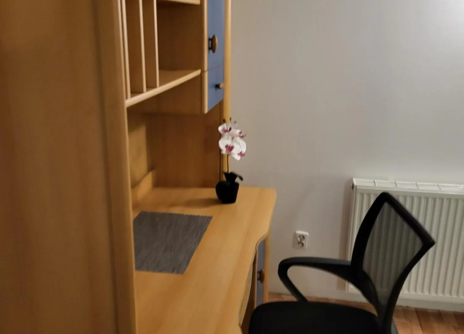 Grzegorzecka Room Nr 1 Krakov Polsko
